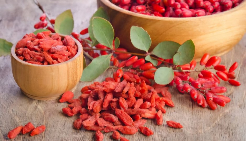 بربرین در مشکل چاقی بدن و دیابت چه نقشی دارد؟