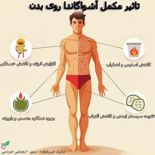 مکمل آشواگاندا برای بهبود کیفیت زندگی جنسی شما