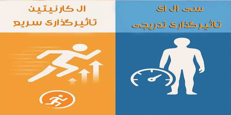 ال کارنیتین بهتر است یا سی ال ای