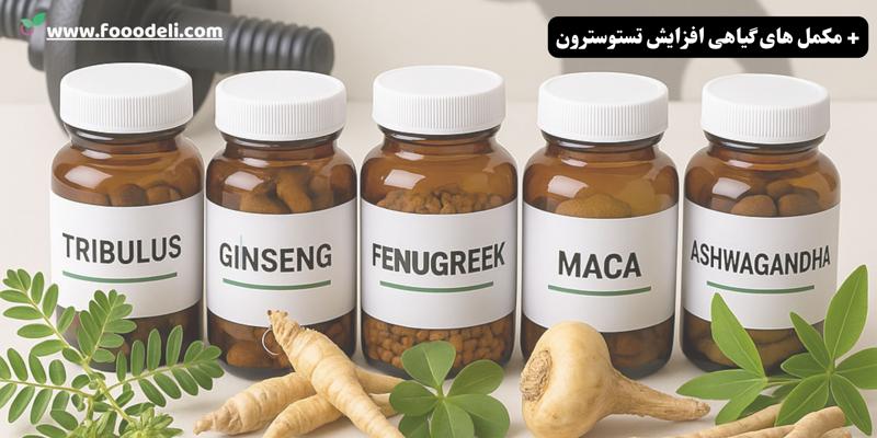 مکمل های گیاهی افزایش تستوسترون