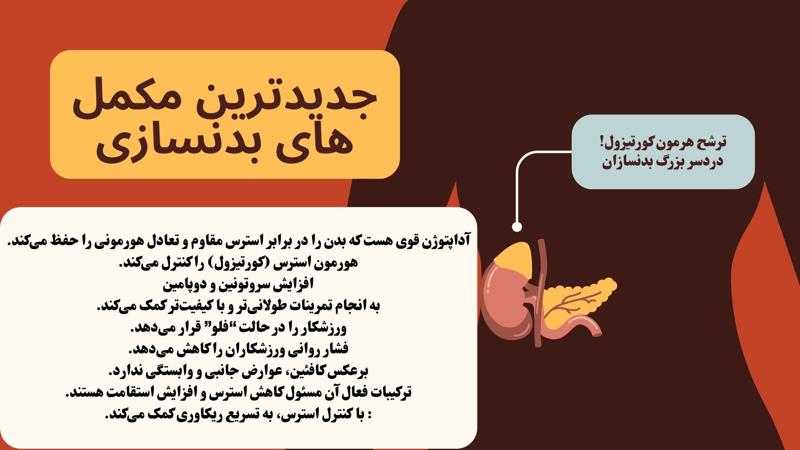 جدیدترین مکمل ‌های بدنسازی 2025