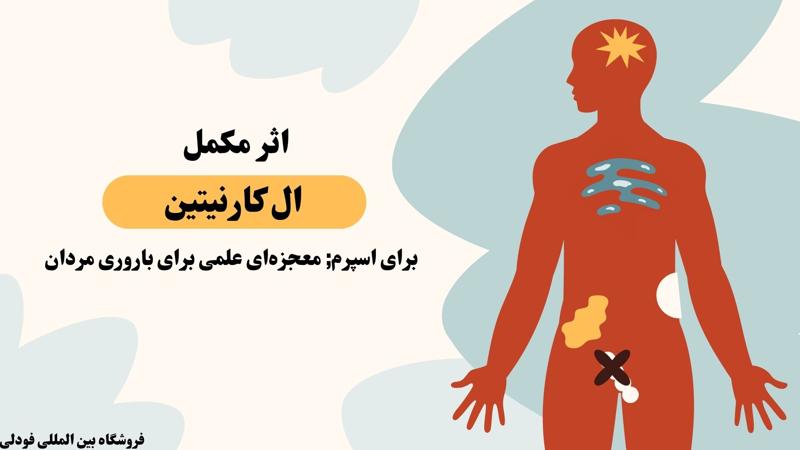 مکمل ال کارنیتین برای اسپرم