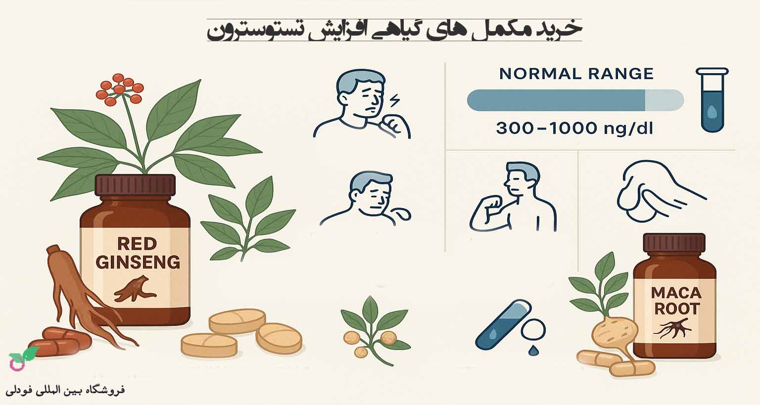 خرید مکمل‌ های گیاهی افزایش تستوسترون