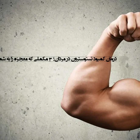 درمان کمبود تستوسترون در مردان؛ 3 مکملی که معجزه را به شما نشان می‌دهند!