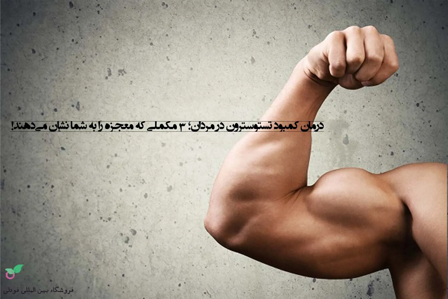 درمان کمبود تستوسترون در مردان؛ 3 مکملی که معجزه را به شما نشان می‌دهند!