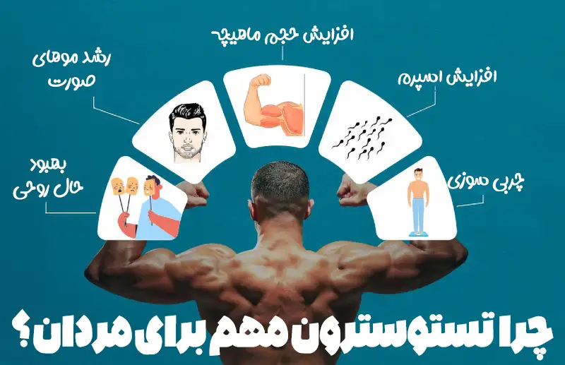 مکمل های گیاهی افزایش تستوسترون